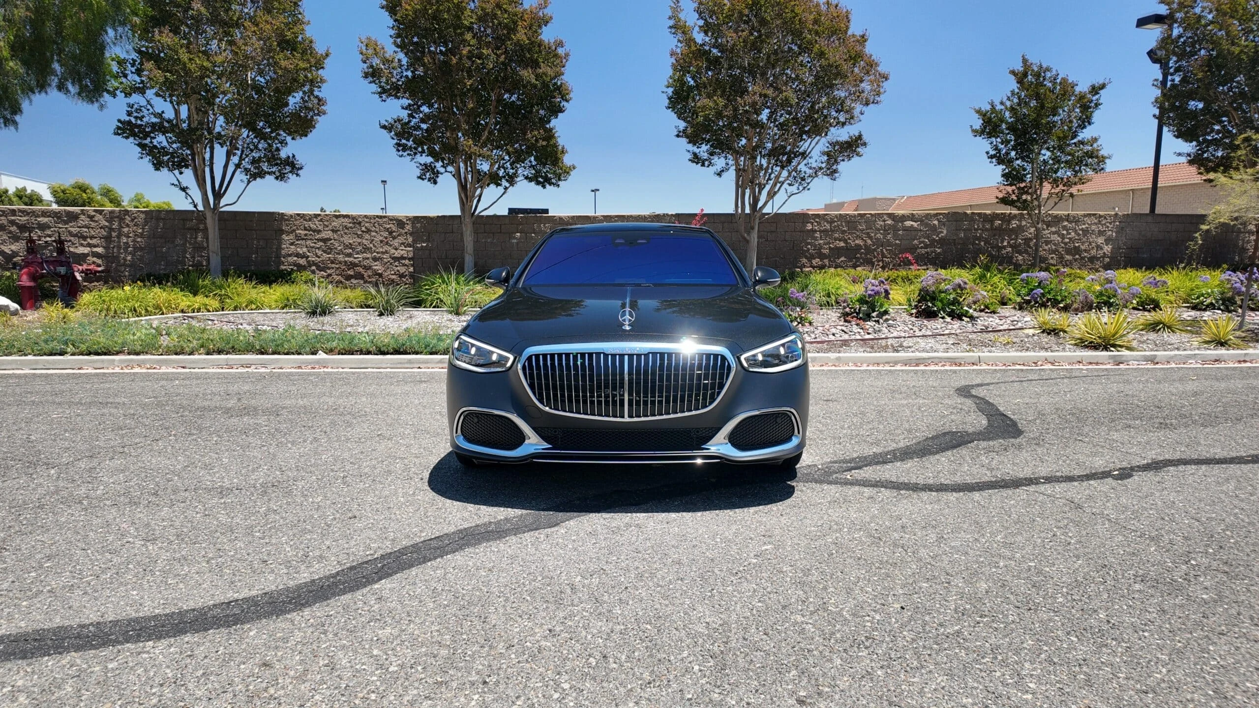 Mercedes-Maybach S 580 detail view selected for LUXURY CAR CLUB